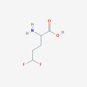 molecular formula C5H9F2NO2 B13519688 2-Amino-5,5-difluoropentanoic acid 