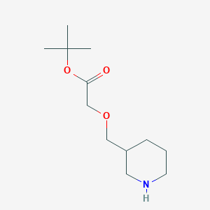 molecular formula C12H23NO3 B13519783 Tert-butyl 2-(piperidin-3-ylmethoxy)acetate 