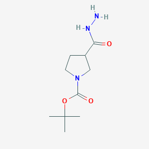 molecular formula C10H19N3O3 B1352119 Tert-butyl 3-(hydrazinecarbonyl)pyrrolidine-1-carboxylate CAS No. 411238-88-5