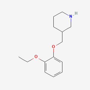 3-[(2-Ethoxyphenoxy)methyl]piperidine