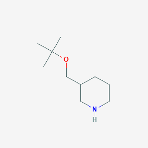 molecular formula C10H21NO B13521530 3-(Tert-butoxymethyl)piperidine 