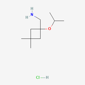 molecular formula C10H22ClNO B13521572 1-[3,3-Dimethyl-1-(propan-2-yloxy)cyclobutyl]methanamine hydrochloride CAS No. 2839139-71-6