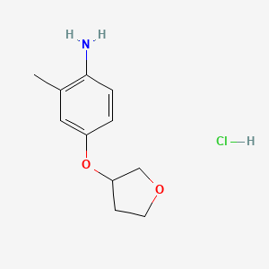 molecular formula C11H16ClNO2 B13522147 2-Methyl-4-(oxolan-3-yloxy)anilinehydrochloride 