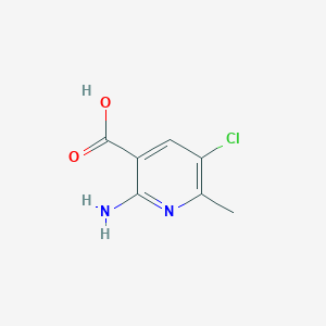 molecular formula C7H7ClN2O2 B13522185 2-Amino-5-chloro-6-methylnicotinic acid 