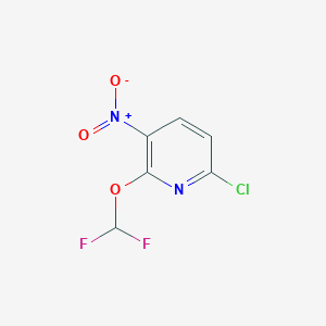 molecular formula C6H3ClF2N2O3 B13523106 6-Chloro-2-(difluoromethoxy)-3-nitropyridine 