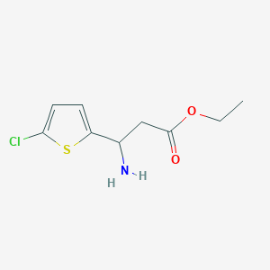 molecular formula C9H12ClNO2S B13523135 Ethyl 3-amino-3-(5-chlorothiophen-2-yl)propanoate 