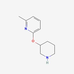 molecular formula C11H16N2O B13523228 2-Methyl-6-(piperidin-3-yloxy)pyridine 