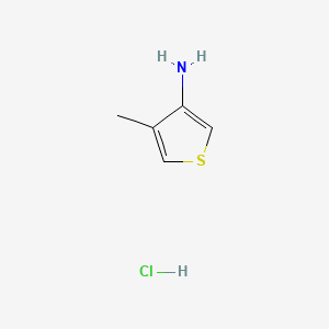 molecular formula C5H8ClNS B1352354 4-甲硫代苯-3-胺盐酸盐 CAS No. 24030-00-0