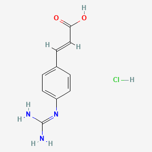 molecular formula C10H12ClN3O2 B13523618 3-(4-Carbamimidamidophenyl)prop-2-enoic acid hydrochloride CAS No. 132769-16-5