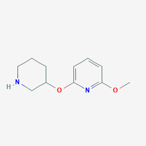 molecular formula C11H16N2O2 B13523970 2-Methoxy-6-(piperidin-3-yloxy)pyridine 