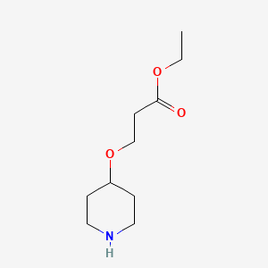 molecular formula C10H19NO3 B13524245 Ethyl 3-(piperidin-4-yloxy)propanoate 