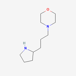 molecular formula C11H22N2O B13524247 4-(3-(Pyrrolidin-2-yl)propyl)morpholine 