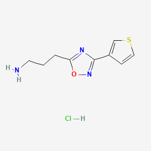 molecular formula C9H12ClN3OS B13524353 3-[3-(Thiophen-3-yl)-1,2,4-oxadiazol-5-yl]propan-1-aminehydrochloride CAS No. 2839144-03-3