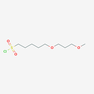 5-(3-Methoxypropoxy)pentane-1-sulfonyl chloride