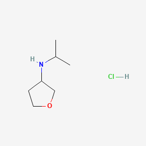 molecular formula C7H16ClNO B13524768 N-(propan-2-yl)oxolan-3-aminehydrochloride 