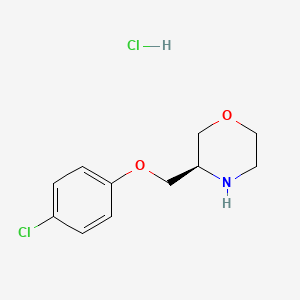 molecular formula C11H15Cl2NO2 B13525013 (3R)-3-[(4-chlorophenoxy)methyl]morpholinehydrochloride 