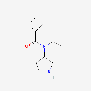 molecular formula C11H20N2O B13525261 n-Ethyl-N-(pyrrolidin-3-yl)cyclobutanecarboxamide 