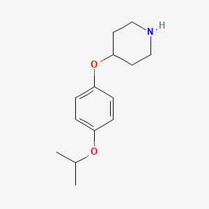 molecular formula C14H21NO2 B13525304 4-[4-(Propan-2-yloxy)phenoxy]piperidine 