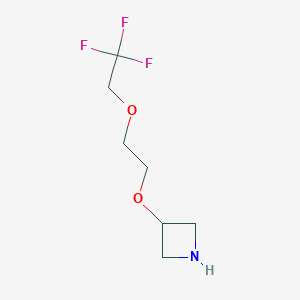 molecular formula C7H12F3NO2 B13525441 3-(2-(2,2,2-Trifluoroethoxy)ethoxy)azetidine 