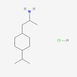 molecular formula C12H26ClN B13525567 1-[4-(Propan-2-yl)cyclohexyl]propan-2-aminehydrochloride 