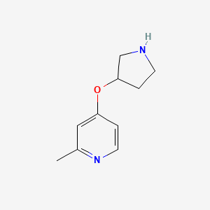 2-Methyl-4-(pyrrolidin-3-yloxy)pyridine