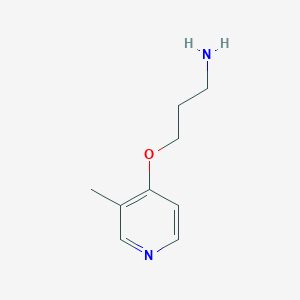 molecular formula C9H14N2O B13526201 3-((3-Methylpyridin-4-yl)oxy)propan-1-amine 