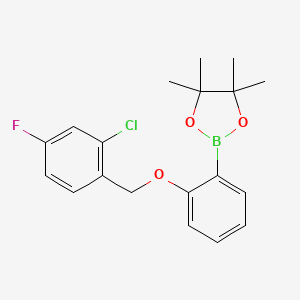 molecular formula C19H21BClFO3 B13526415 2-[2-[(2-Chloro-4-fluoro-phenyl)methoxy]phenyl]-4,4,5,5-tetramethyl-1,3,2-dioxaborolane 