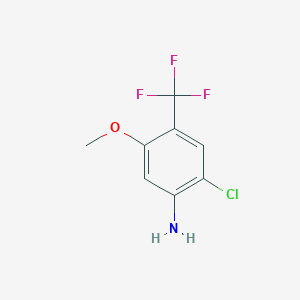 molecular formula C8H7ClF3NO B13526860 2-Chloro-5-methoxy-4-(trifluoromethyl)aniline 