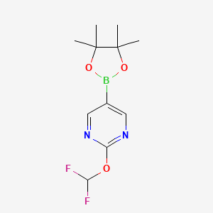 molecular formula C11H15BF2N2O3 B13527034 2-(Difluoromethoxy)-5-(4,4,5,5-tetramethyl-1,3,2-dioxaborolan-2-yl)pyrimidine 