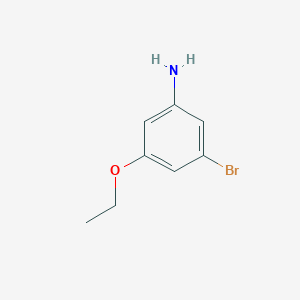 molecular formula C8H10BrNO B13527096 3-Bromo-5-ethoxybenzenamine 