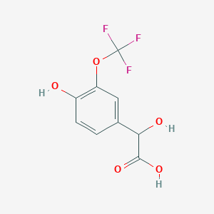 molecular formula C9H7F3O5 B13527573 2-Hydroxy-2-[4-hydroxy-3-(trifluoromethoxy)phenyl]aceticacid 