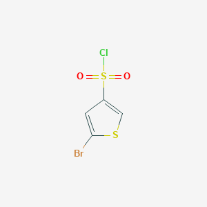 molecular formula C4H2BrClO2S2 B13527574 5-Bromothiophene-3-sulfonyl chloride 