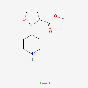 molecular formula C11H20ClNO3 B13528714 Methyl 2-(piperidin-4-yl)oxolane-3-carboxylate hydrochloride 