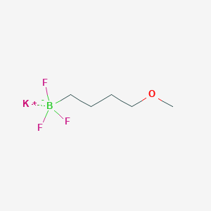 molecular formula C5H11BF3KO B13528946 Potassium trifluoro(4-methoxybutyl)boranuide 