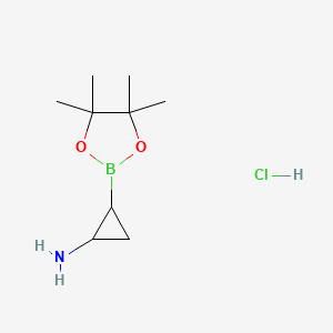 molecular formula C9H19BClNO2 B13529256 trans-2-(4,4,5,5-Tetramethyl-1,3,2-dioxaborolan-2-yl)cyclopropanamine;hydrochloride 