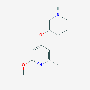 molecular formula C12H18N2O2 B13530517 2-methoxy-6-methyl-4-(3-piperidinyloxy)Pyridine 