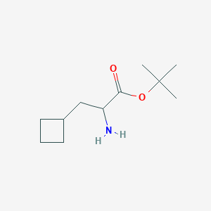 molecular formula C11H21NO2 B13530923 Tert-butyl 2-amino-3-cyclobutylpropanoate 