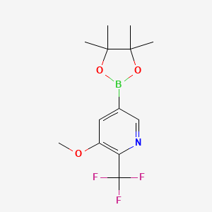 3-Methoxy-5-(tetramethyl-1,3,2-dioxaborolan-2-yl)-2-(trifluoromethyl)pyridine