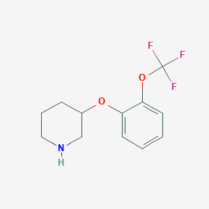 molecular formula C12H14F3NO2 B13531293 3-[2-(Trifluoromethoxy)phenoxy]piperidine 