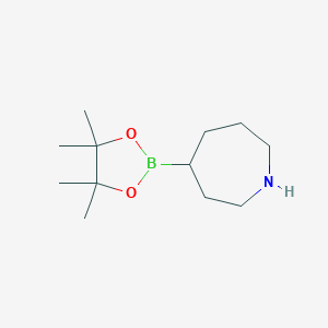 molecular formula C12H24BNO2 B13531555 4-(Tetramethyl-1,3,2-dioxaborolan-2-yl)azepane 