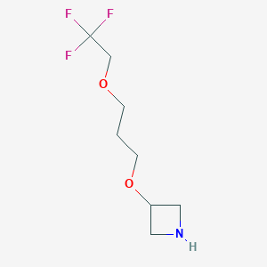 molecular formula C8H14F3NO2 B13533269 3-(3-(2,2,2-Trifluoroethoxy)propoxy)azetidine 