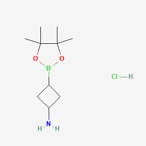 molecular formula C10H21BClNO2 B13533352 3-(Tetramethyl-1,3,2-dioxaborolan-2-yl)cyclobutan-1-amine hydrochloride 