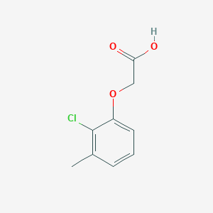 molecular formula C9H9ClO3 B13533577 2-(2-Chloro-3-methylphenoxy)acetic acid 