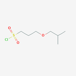 molecular formula C7H15ClO3S B13535596 3-Isobutoxypropane-1-sulfonyl chloride 