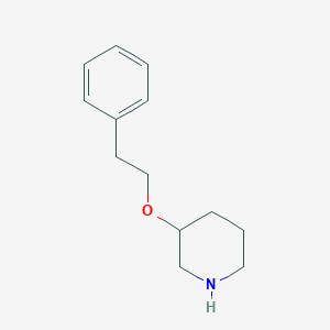 molecular formula C13H19NO B13535650 3-Phenethoxypiperidine 