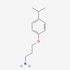 molecular formula C12H19NO B13536832 3-(4-Isopropylphenoxy)propan-1-amine 