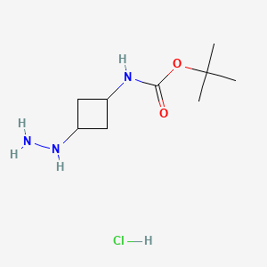 molecular formula C9H20ClN3O2 B13536884 tert-Butyl (3-hydrazinylcyclobutyl)carbamate hydrochloride 