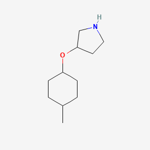 molecular formula C11H21NO B13536892 3-((4-Methylcyclohexyl)oxy)pyrrolidine 