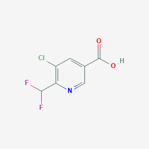 molecular formula C7H4ClF2NO2 B13537185 5-Chloro-6-(difluoromethyl)nicotinic acid 