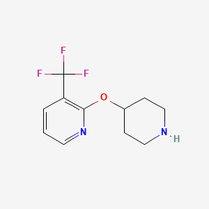 molecular formula C11H13F3N2O B13537710 2-(Piperidin-4-yloxy)-3-(trifluoromethyl)pyridine 